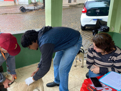 Foto 5 de 5 - Campanha de vacinação contra raiva em São José do Calçado