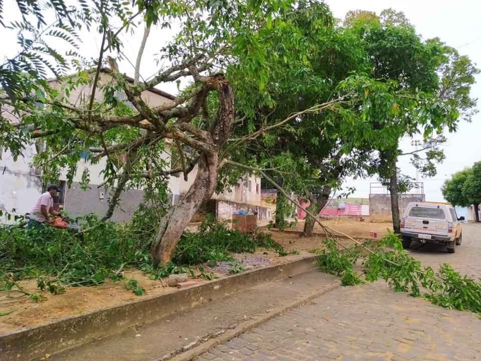 ÁRVORE É CORTADA NO CENTRO DE SÃO JOSÉ DO CALÇADO APÓS TEMPORAL