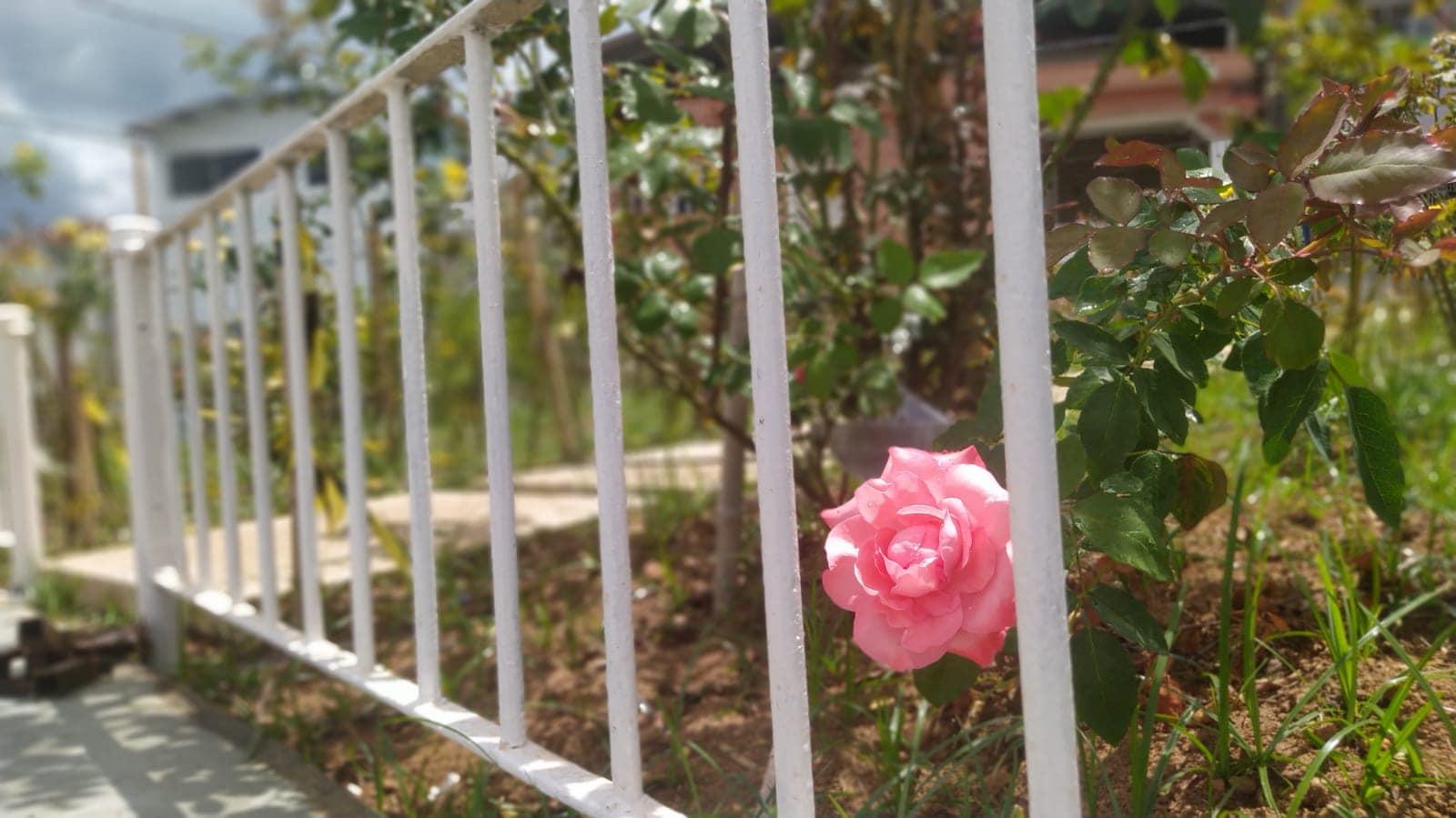 Secretaria de Obras finaliza o cercamento do 