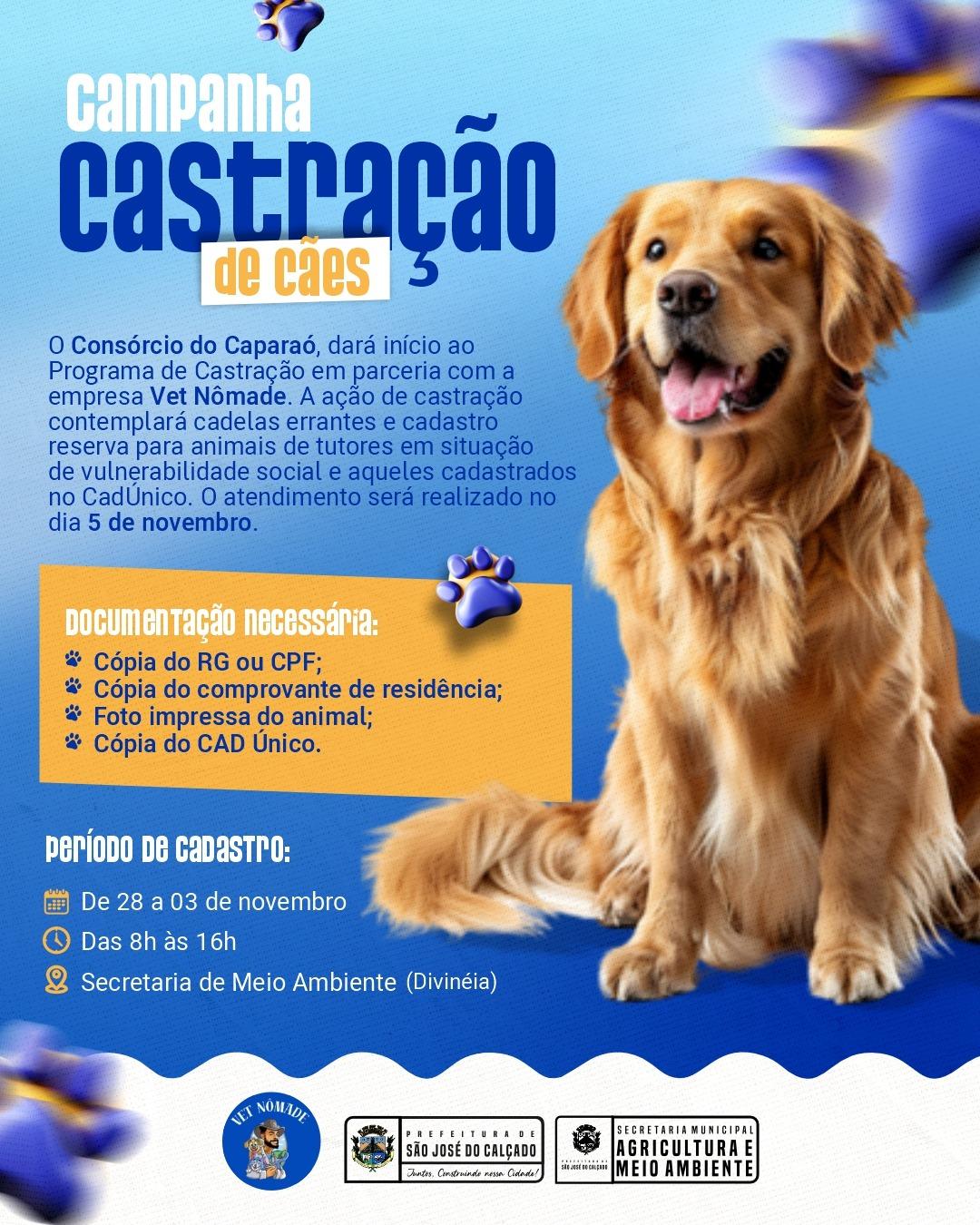 Campanha de Castração de Cães!