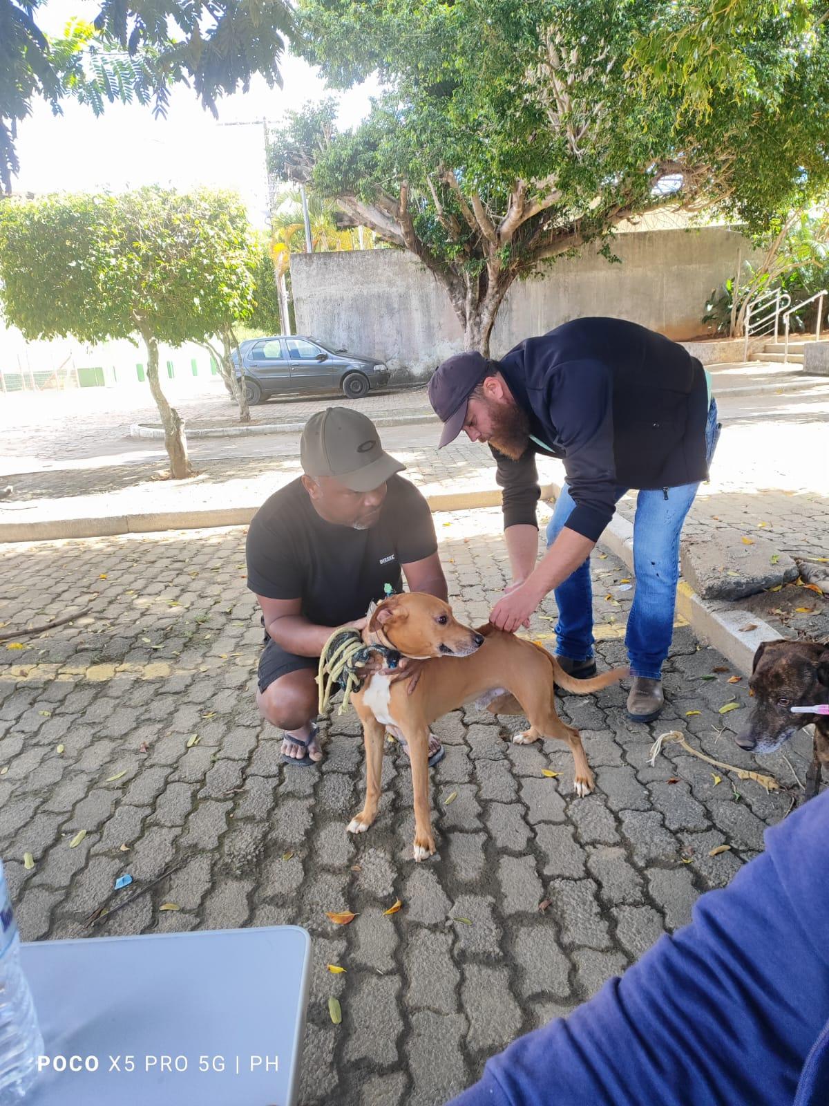 São José do Calçado realiza campanha de vacinação contra a raiva animal 
